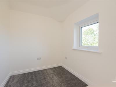 Picture 24